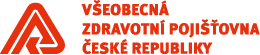 Náhled falešné platební brány